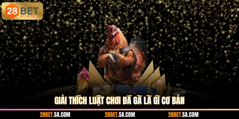 Giải thích luật chơi đá gà là gì cơ bản