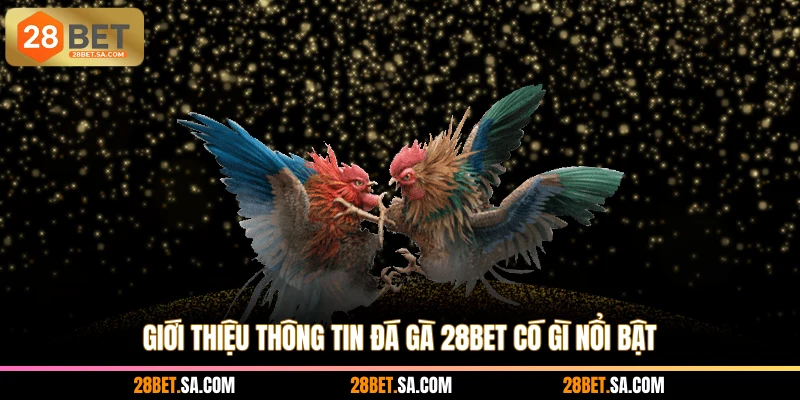 Giới thiệu thông tin đá gà 28BET có gì nổi bật
