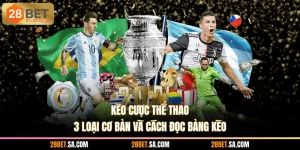 Kèo Cược Thể Thao - 3 Loại Cơ Bản Và Cách Đọc Bảng Kèo