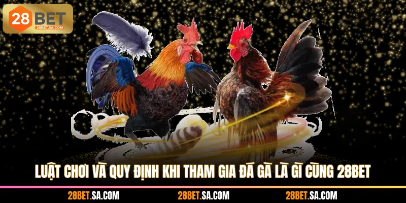Luật chơi và quy định khi tham gia đá gà là gì cùng 28BET