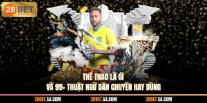 Thể Thao Là Gì Và 99+ Thuật Ngữ Dân Chuyên Hay Dùng